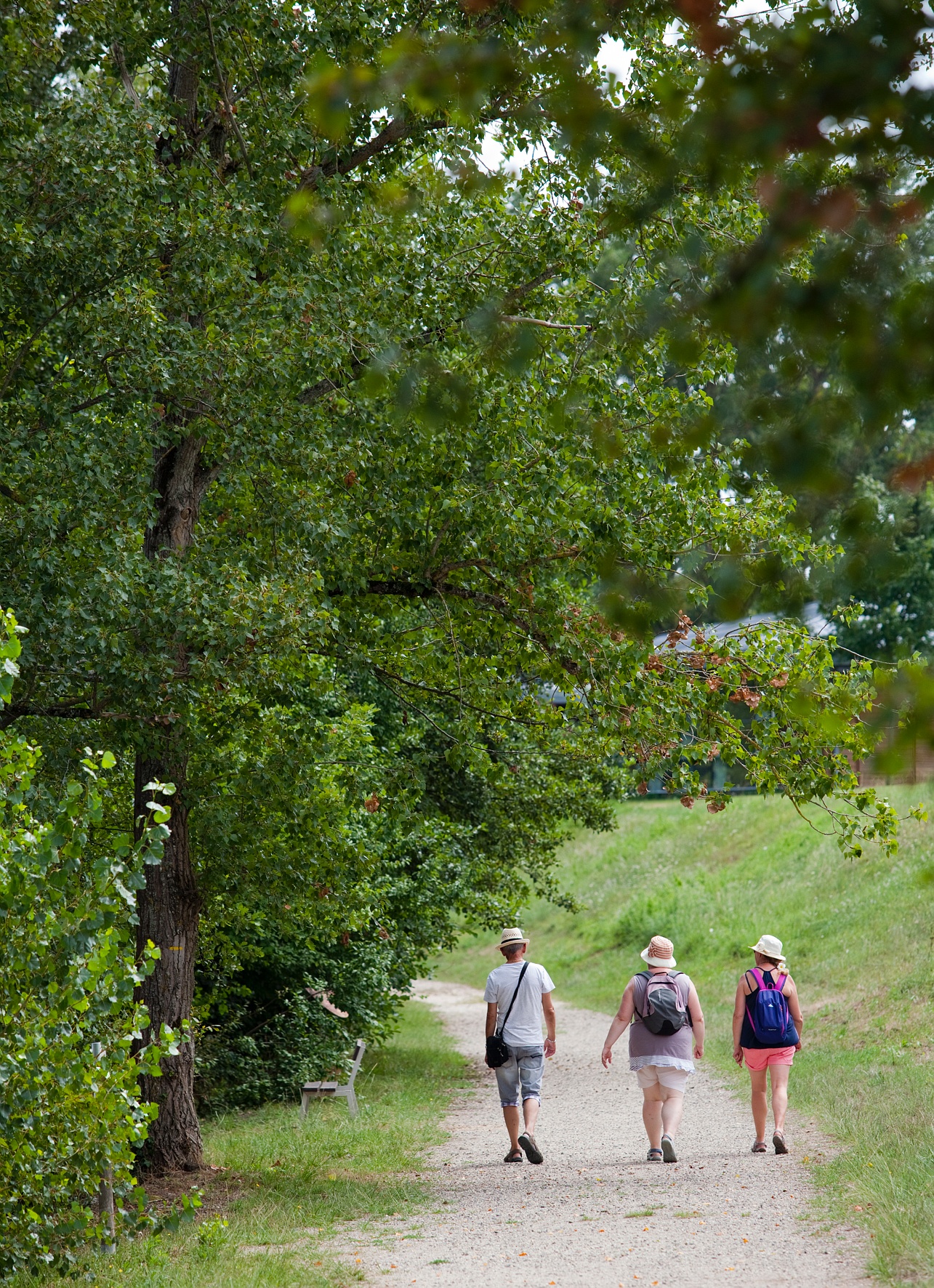 Promeneurs à la base de loisirs