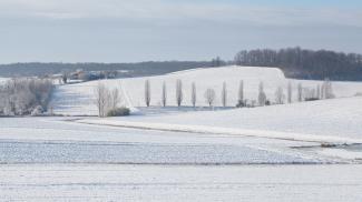 Un champ sous la neige 