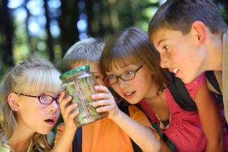Classes de découverte Enfants dans les bois, captivés par un pot en verre (classe de découverte)