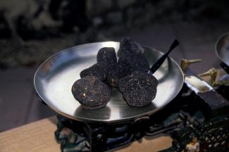 Truffes du Quercy Nous pouvons apperçevoir sur la photo des Truffes de Quercy sur une balance