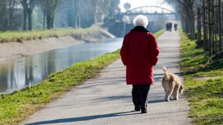 Balade C'est une mamie qui est en train de se promener avec son chien au bors du canal