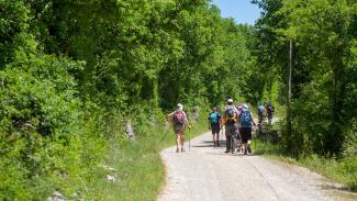 Groupe de personnes marchant sur un chemin en de randonnée en terre battue, entouré d’arbres.