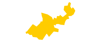 Le canton Tarn - Tescou - Quercy Vert en Jaune 