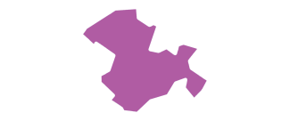 Le canton de Moissac violet 