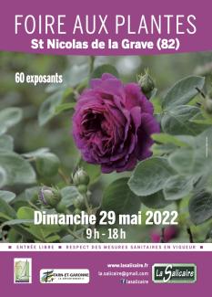 Affiche de la foire aux plantes à Saint-Nicolas-de-la-Grave avec la photo d'une fleur violette et les informations relatives à cet événement 