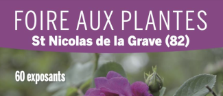 Affiche de la foire aux plantes à Saint-Nicolas-de-la-Grave avec la photo d'une fleur violette 