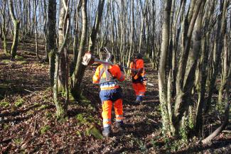 Des agents du service biodiversité en train de couper des branches et de débrousailler