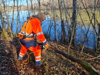 La brigade verte entretient les sentiers Tarn-et-Garonnais Un agent du service biodiversité (brigade verte) en train de couper des branches avec une tronçonneuse