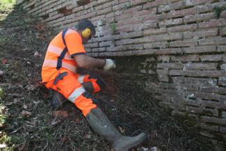 Un agent du service des ouvrages d'arts en train de travailler sur un mur en pierres