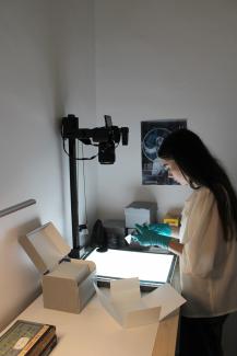 Camille dépose une plaque de verre sur la table lumineuse