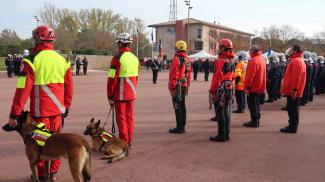 Les sapeurs-pompiers en tenue et les maîtres-chiens alignés lors de la cérémonie 