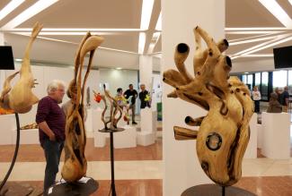 Festival de la culture Juin 2023 Plusieurs sculptures en bois lors du Festival de la culture Juin 2023