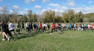 Le Cross départemental UNSS organisée sur la base de loisirs du Tarn et de la Garonne le 22 novembre 2023 Un ensemble de jeunes en train de courir lors du cross départemental UNSS