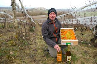 Les jus et pétillants de Jêrome Resongles Le vigneron Jêrome Resongles, dans ses vignes tenant un cageot de Chasselas dans ses mains