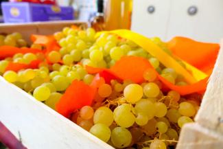 Les jus et pétillants de Jêrome Resongles Un cageot de chasselas
