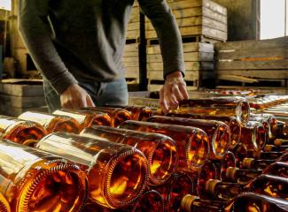 Des bouteilles de jus de fruit