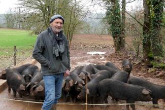 Le Mas de Monille : un élevage respectueux de porcs gascons Benoît Leverrier, éleveur de porcs noirs gascons et gérant de l'exploitation du Mas de Monile
