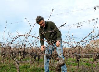 Entretien avec David Vigouroux, témoin du terroir Le propriétaire du Château Baudare, David Vigouroux, dans son vignoble