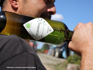 Jean-Claude Delpech : Gardien des traditions viticoles au Domaine La Tucayne Un salarié de l'exploitation « Domaine La Tucayne » portant une bouteille de vin, estampillée d'une étiquette « Tucayne », sur l"épaule