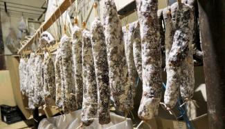 Le Mas de Monille : un élevage respectueux de porcs gascons Saucisses sèches en train de sécher dans la cave d'affinage de l'exploitation du Mas du Monille