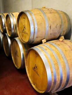 Rencontre avec Luc Flores au Château Bouissel Des tonneaux de vins estampillés « Château Bouissel »