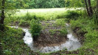 On peut voir un courant d'eau avec plein de boue autour 