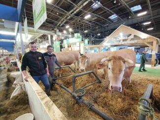 Concours Générale Agricole Paris 2024 Un élevage de Bovins présent au Concours Général Agricole 2024