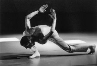 Spectacle : Cygn etc par la compagnie Pedro Pauwels à l'abbaye de Belleperche un homme danse Le lac des cygnes