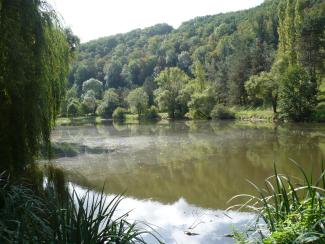 Rivière tranquille reflétant un ciel bleu clair, entourées d'arbres verdoyant