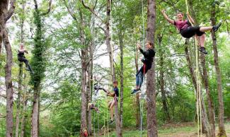 Photo qui illustre une activité de pleine nature de type « grimpe arbre » Activité de pleine nature de type « grimpe arbre »