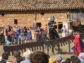 Un cheval et un chevalier déguisé avec des costumes médiévaux, une lance à la main avec du public derrière 