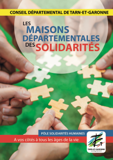 puzzle solidarité
