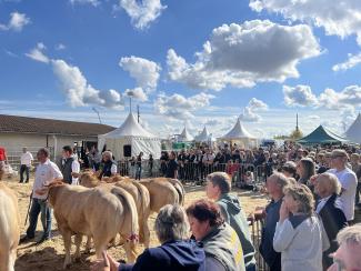 Bienvenue à la campagne 2025 : Une 15è édition placée sous le signe du terroir et de la convivialité avec le soutien du Département Bienvenue à la campagne 2025 : Une 15è édition placée sous le signe du terroir et de la convivialité avec le soutien du Département